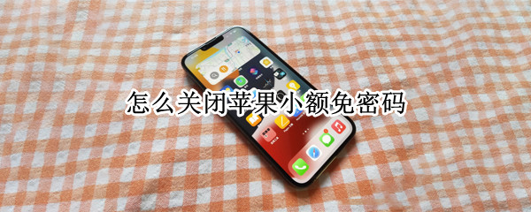 怎么关闭苹果小额免密码 苹果手机怎么关掉小额免密码