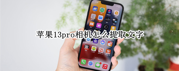 苹果13pro相机怎么提取文字（苹果12pro怎么提取图片文字）