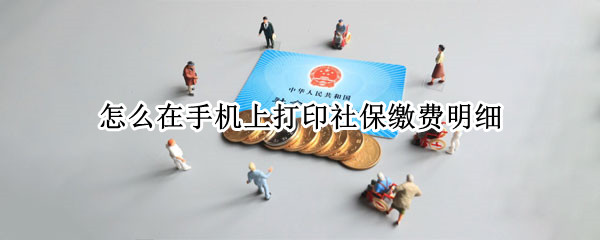 怎么在手机上打印社保缴费明细（社保缴费明细怎么打印出来）