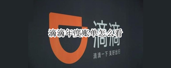 滴滴年度账单怎么看（滴滴年度账单怎么看的）