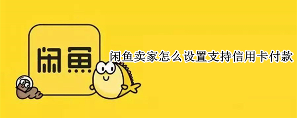闲鱼卖家怎么设置支持信用卡付款（闲鱼卖家怎么设置支持信用卡付款功能）