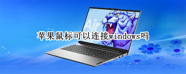 苹果鼠标可以连接windows吗 windows电脑可以连接苹果鼠标吗