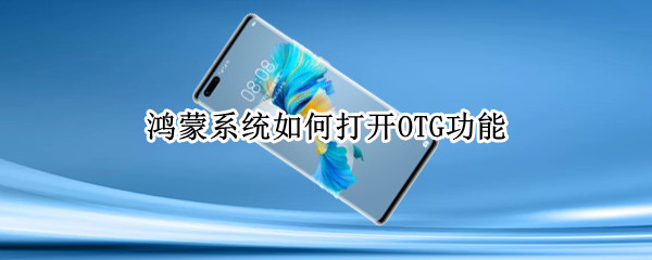 鸿蒙系统如何打开OTG功能（鸿蒙系统OTG开关在哪里）