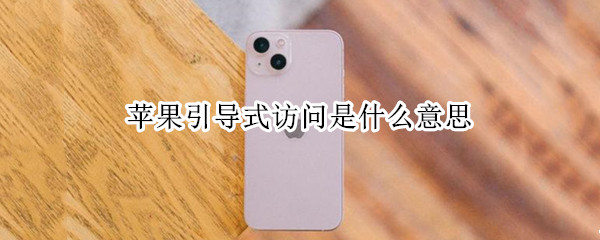 苹果引导式访问是什么意思