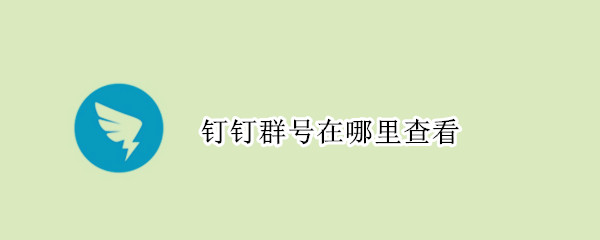 钉钉群号在哪里查看（电脑钉钉群号在哪里查看）