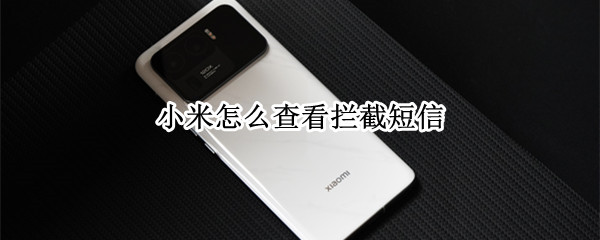 小米怎么查看拦截短信 小米怎么查看拦截短信信息