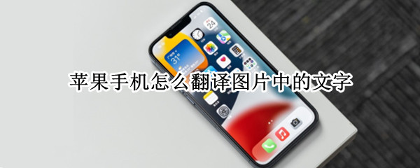 苹果手机怎么翻译图片中的文字（苹果手机图片的文字怎么翻译出来）