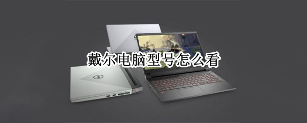 戴尔电脑型号怎么看（戴尔电脑型号怎么看型号看电脑配置）