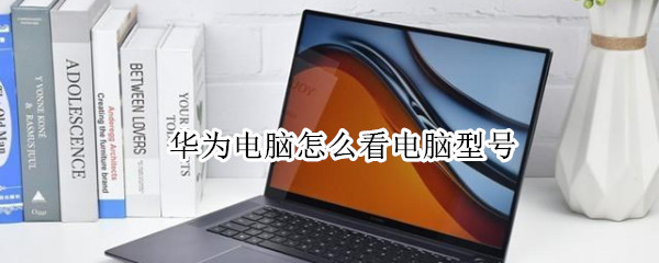 华为电脑怎么看电脑型号（华为电脑怎么看电脑型号和尺寸）