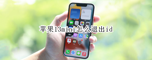 苹果13mini怎么退出id（苹果13mini怎么退出王者荣耀）