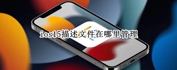ios15描述文件在哪里管理 ios15描述文件在哪里管理的