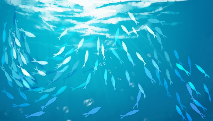 北戴河海天一色赶海在哪里 北戴河什么地方适合赶海 