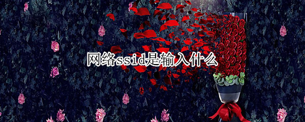 网络ssid是输入什么 输入网络的ssid什么意思