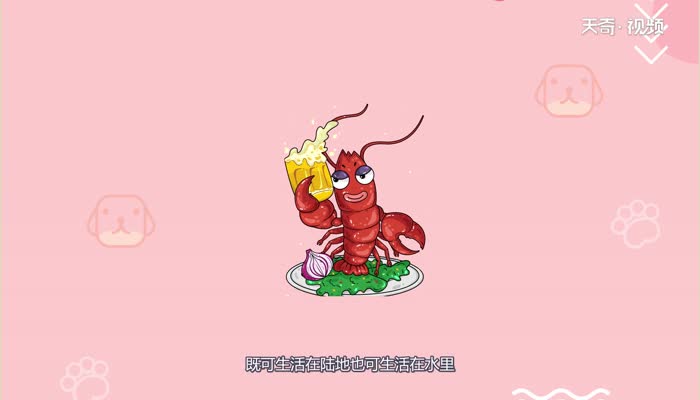 小龙虾在水里会淹死吗  小龙虾会淹死在水里吗