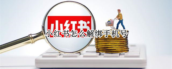 小红书怎么解绑手机号 小红书怎么解绑手机号绑定