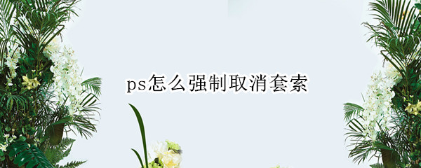 ps怎么强制取消套索（ps 怎么取消套索）