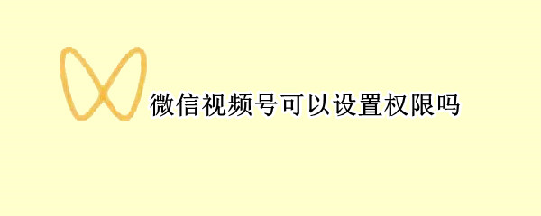 微信视频号可以设置权限吗（微信视频号不能设置权限吗）