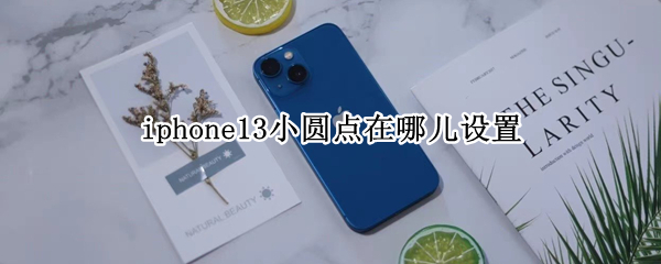 iphone13小圆点在哪儿设置（iphone12小圆点在哪儿设置）