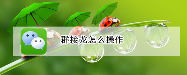 群里怎么接龙（群里怎么接龙写自己名字）