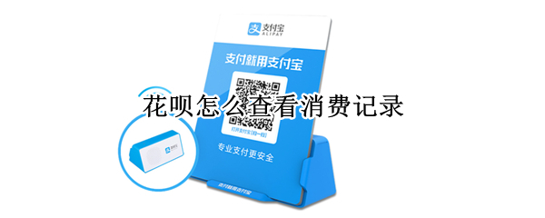 花呗怎么查看消费记录（花呗怎么查看消费记录的地址）