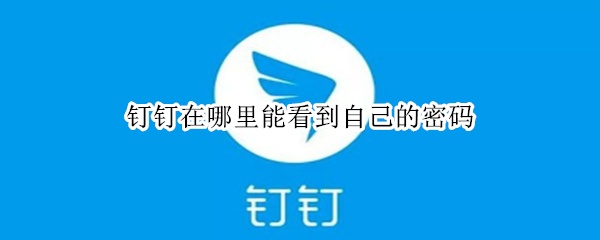 钉钉在哪里能看到自己的密码 钉钉怎么看到密码