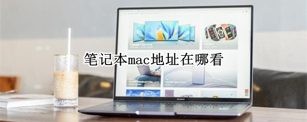 笔记本mac地址在哪看（笔记本mac地址在哪看win10）