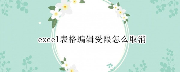excel表格编辑受限怎么取消 excel表格编辑受限怎么取消格式