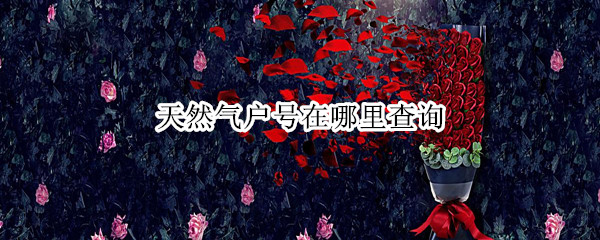 天然气户号在哪里查询（天然气户号怎么查询）