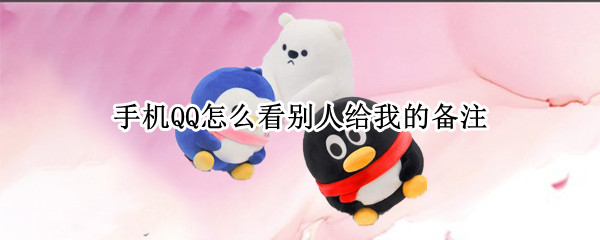 手机QQ怎么看别人给我的备注 手机qq怎么看别人给我的备注名称