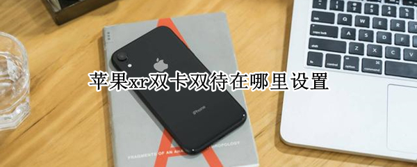 苹果xr双卡双待在哪里设置（苹果xr双卡双待在哪里设置不能使用两张电信卡吗）