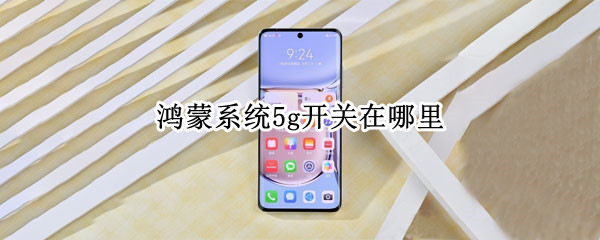 鸿蒙系统5g开关在哪里（鸿蒙系统在哪里开5G）