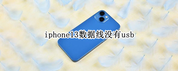 iphone13数据线没有usb iphone13数据线没有usb怎么充电