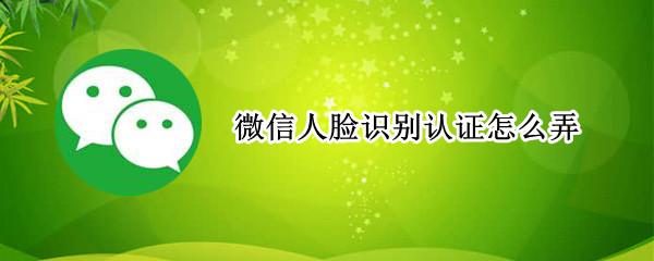 微信人脸识别认证怎么弄（微信人脸识别认证怎么弄出来）