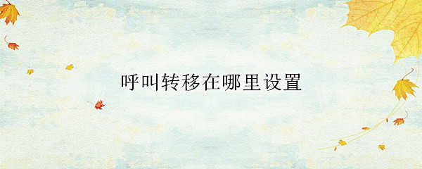 呼叫转移在哪里设置（vivo手机的呼叫转移在哪里设置）