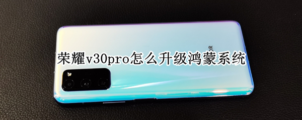 荣耀v30pro怎么升级鸿蒙系统（荣耀v30pro怎么升级鸿蒙系统教程）