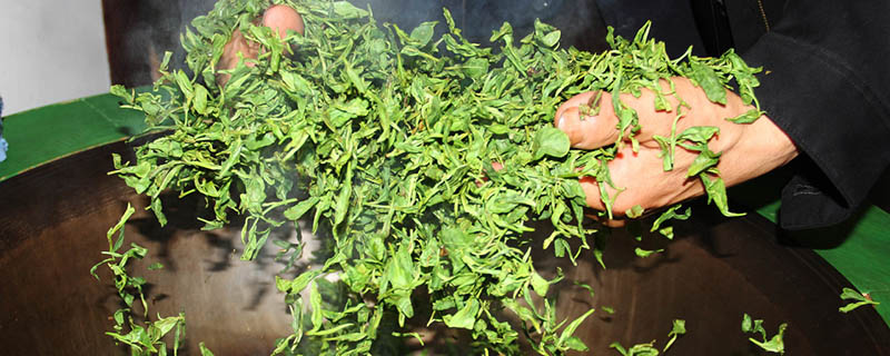 茶叶的分类 茶叶的分类有哪几种