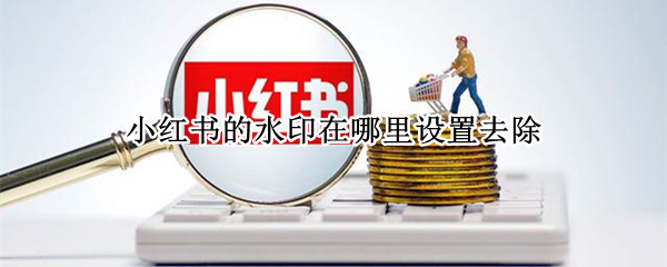 小红书的水印在哪里设置去除（小红书的水印在哪里设置去除图片）