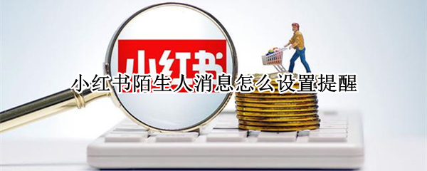 小红书陌生人消息怎么设置提醒 小红书陌生人消息怎么设置提醒声音