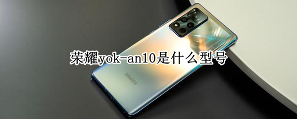 荣耀yok-an10是什么型号（荣耀yok-an10是什么型号轻奢是什么）
