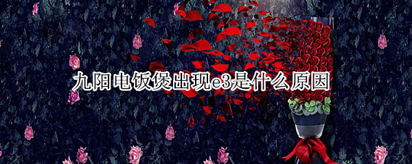 九阳电饭煲出现e3是什么原因（九阳电饭煲出现e3什么问题）