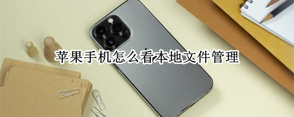 苹果手机怎么看本地文件管理（苹果手机怎么看本地文件管理器）