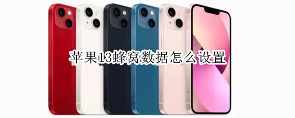 苹果13蜂窝数据怎么设置 苹果13蜂窝数据怎么设置省电