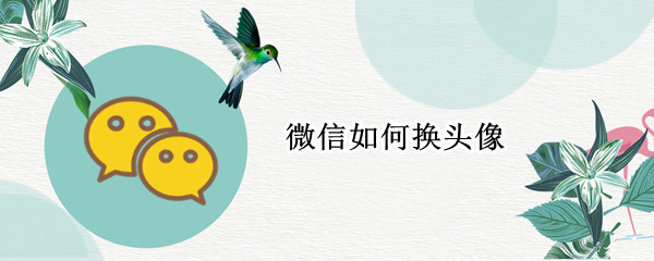 微信如何换头像（微信如何换头像照片）