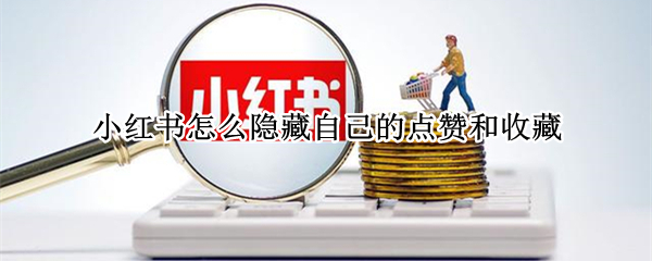 小红书怎么隐藏自己的点赞和收藏（小红书如何隐藏自己的点赞和收藏）