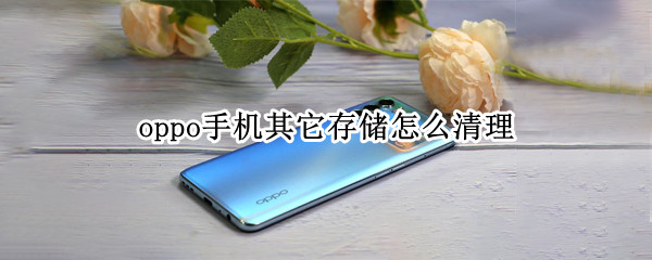 oppo手机其它存储怎么清理 oppo手机其它存储怎么清理缓存