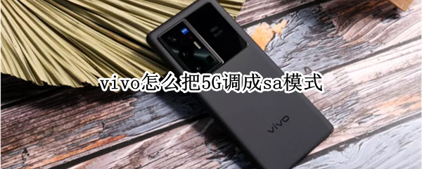 vivo怎么把5G调成sa模式 vivo怎么调5G