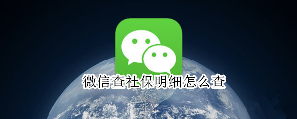 微信查社保明细怎么查（微信查社保明细查询）