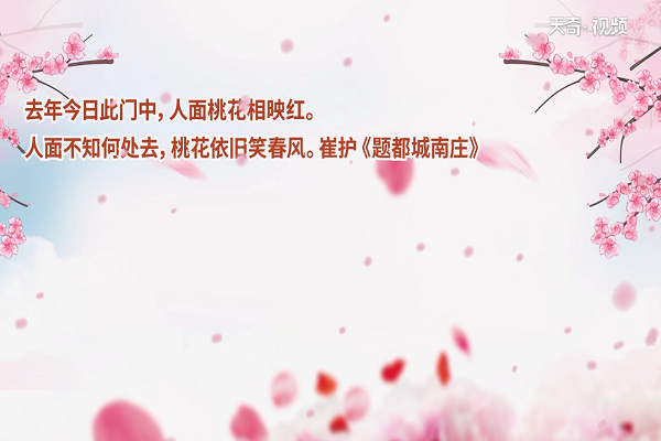 桃花的诗句