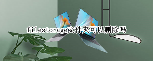filestorage文件夹可以删除吗 Program Files文件夹可以删除吗