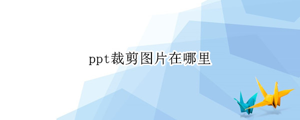 ppt裁剪图片在哪里（ppt裁剪图片在哪里打开）